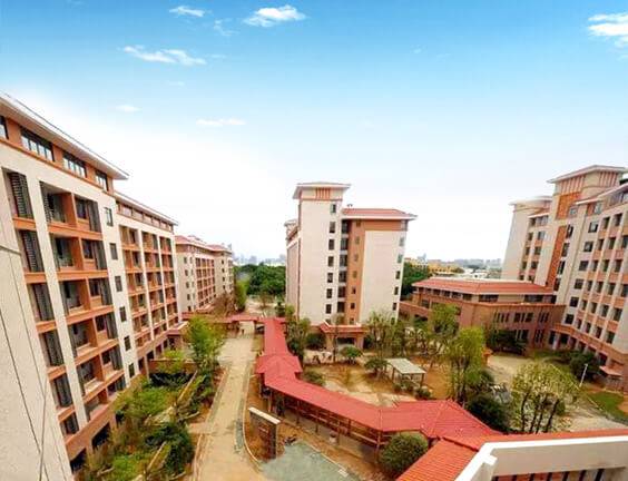 彩神8888 彩神8888