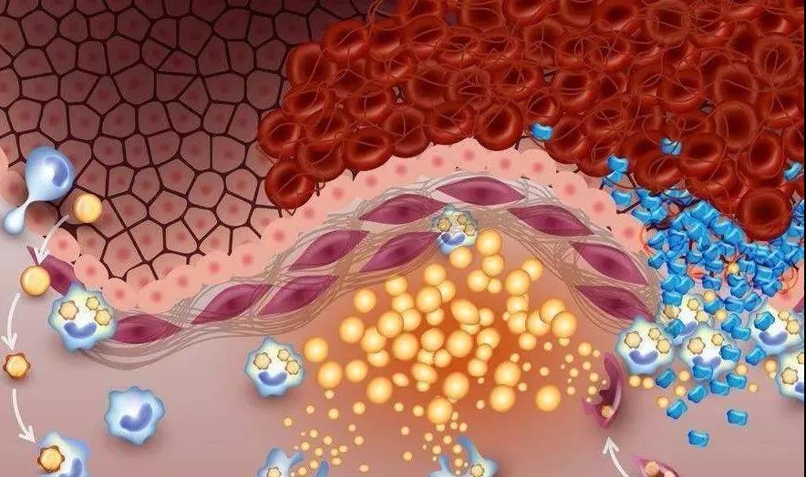 净水器租赁 净水器租赁